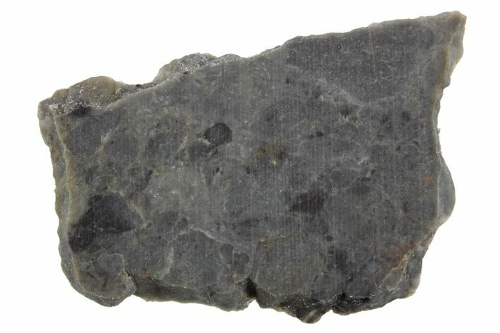 Lunar Meteorite Slice ( g) - NWA #360337